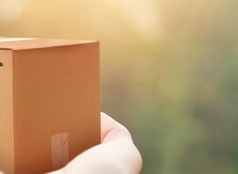 Hand hält Paket mit der Aufschrift Klimapaket.