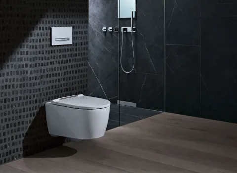 Das Bild zeigt ein luxuriös gestaltetes Badezimmer mit einem wandhängenden Geberit One WC vor einer stilvollen dunklen Mosaikwand.