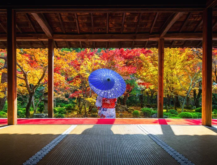 Frau im Kimono mit violettem Papierschirm hinter einem offenen Pavillon betrachtet den herbstlichen Laubwald.